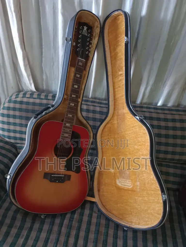Greco 12strings Acoustic Guitar