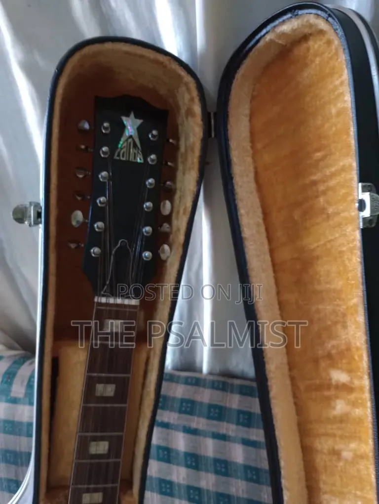 Greco 12strings Acoustic Guitar