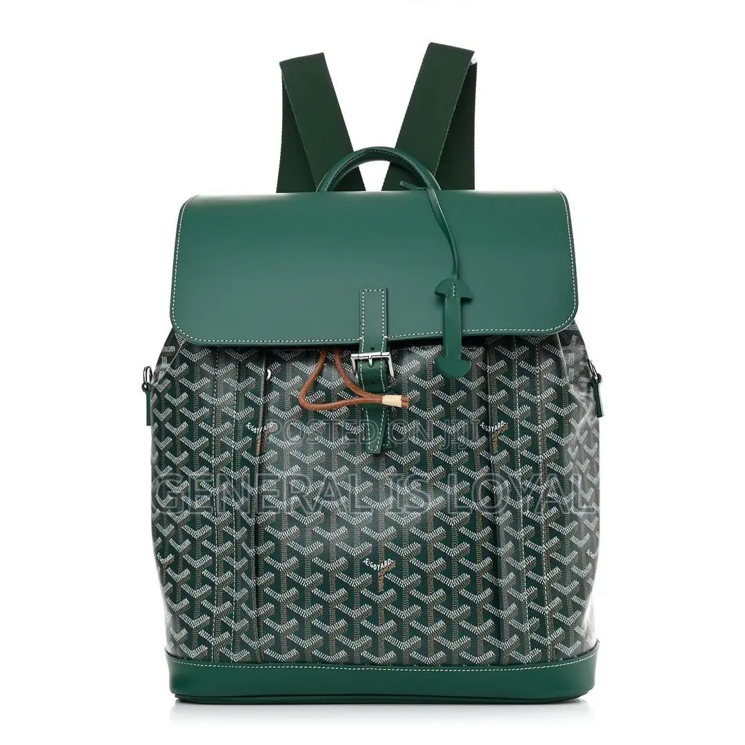 Goyard Alpin MM Backpack in Black Coated Canvas and Calfskin Leather.