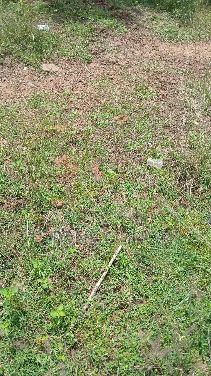Half Plot for Sale at at Dawenya