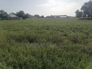 Land for Sale - Techiman
