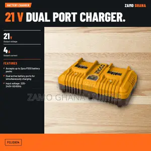 Fast Charger 20v 4a for 2 Batteries - Fcli2034