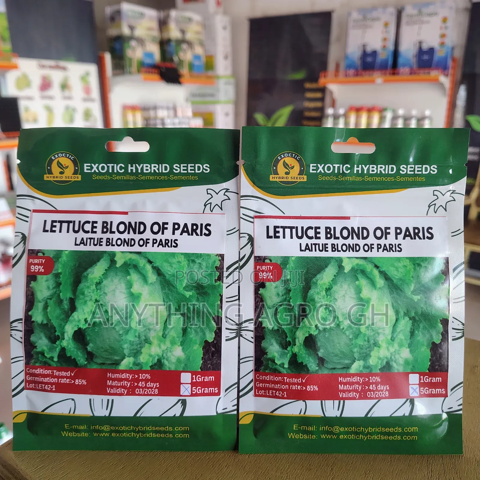 Lettuce Blond of Paris