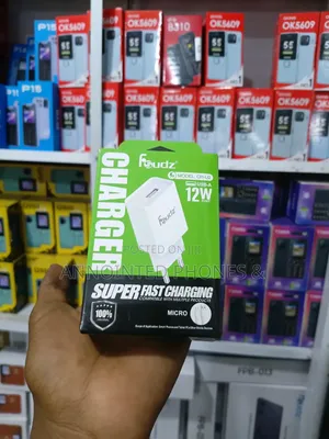 Fsudz Charger