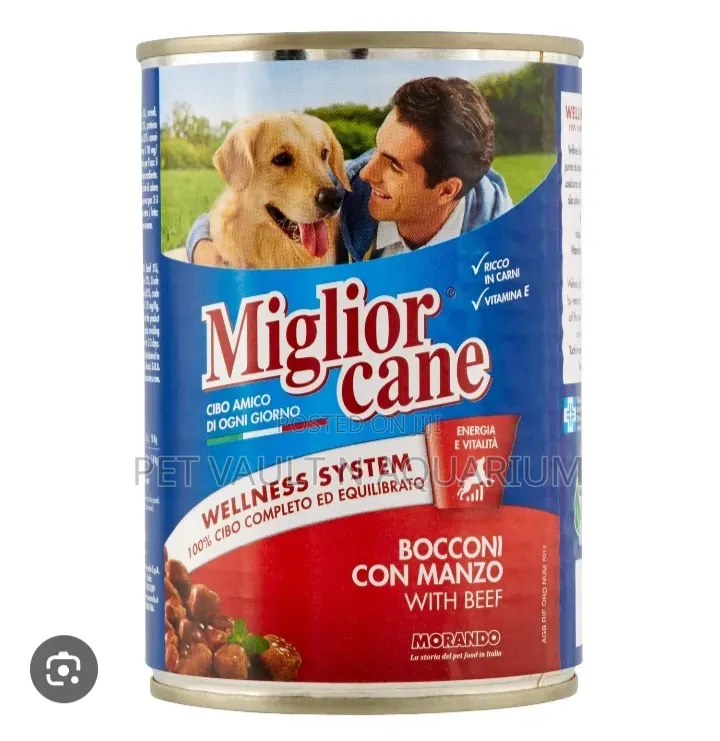 Miglior Cane for Dog N Puppy