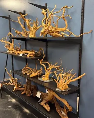 Premium Aquarium Driftwood