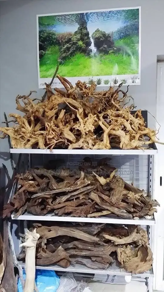 Premium Aquarium Driftwood