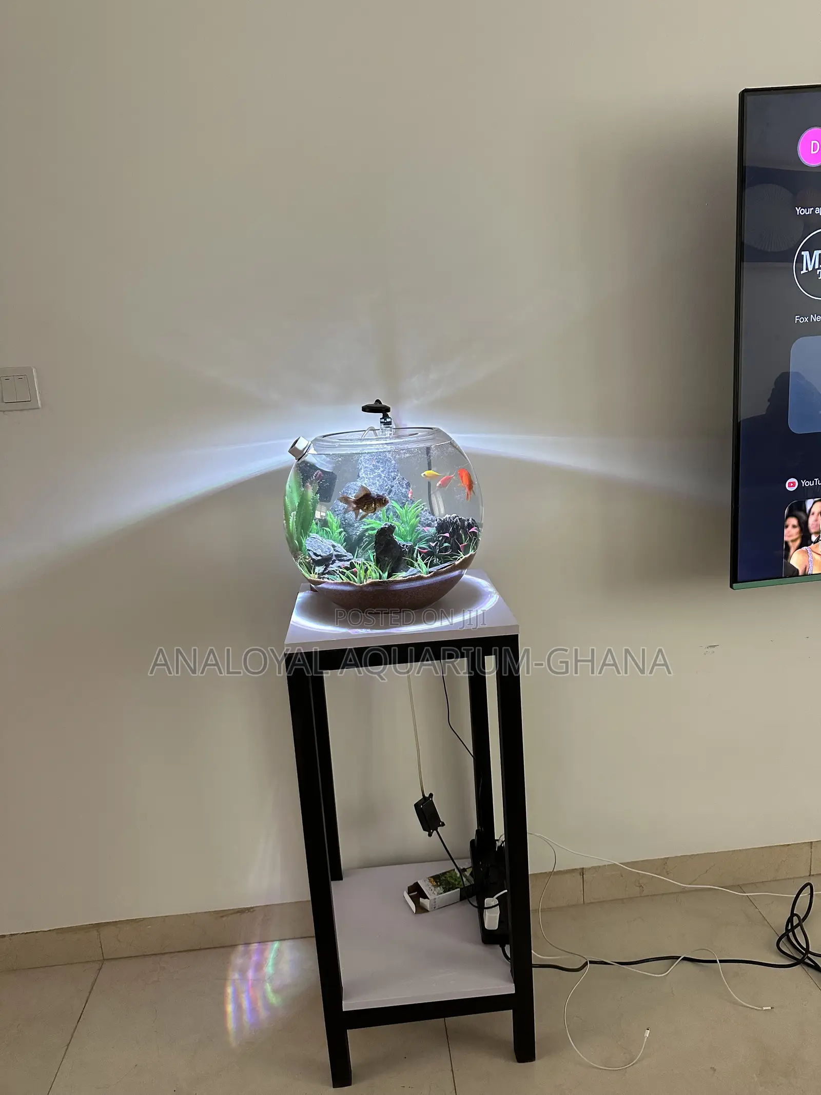 Fish Bowl Aquarium