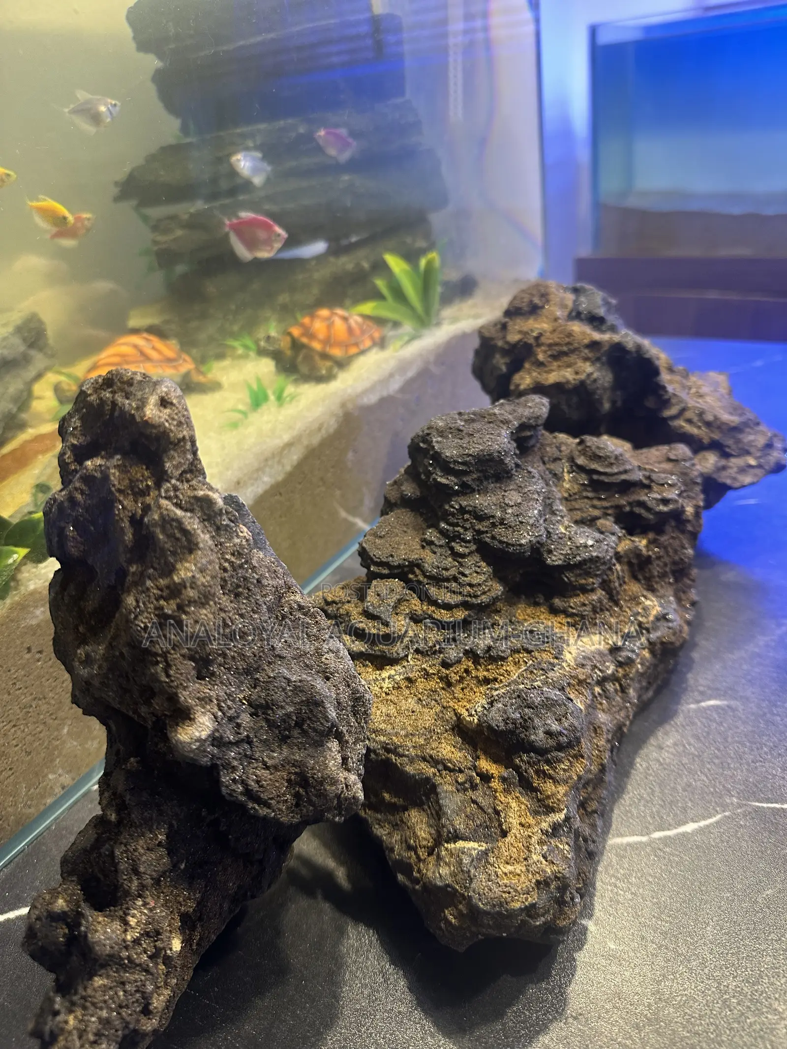 Aquarium Stone