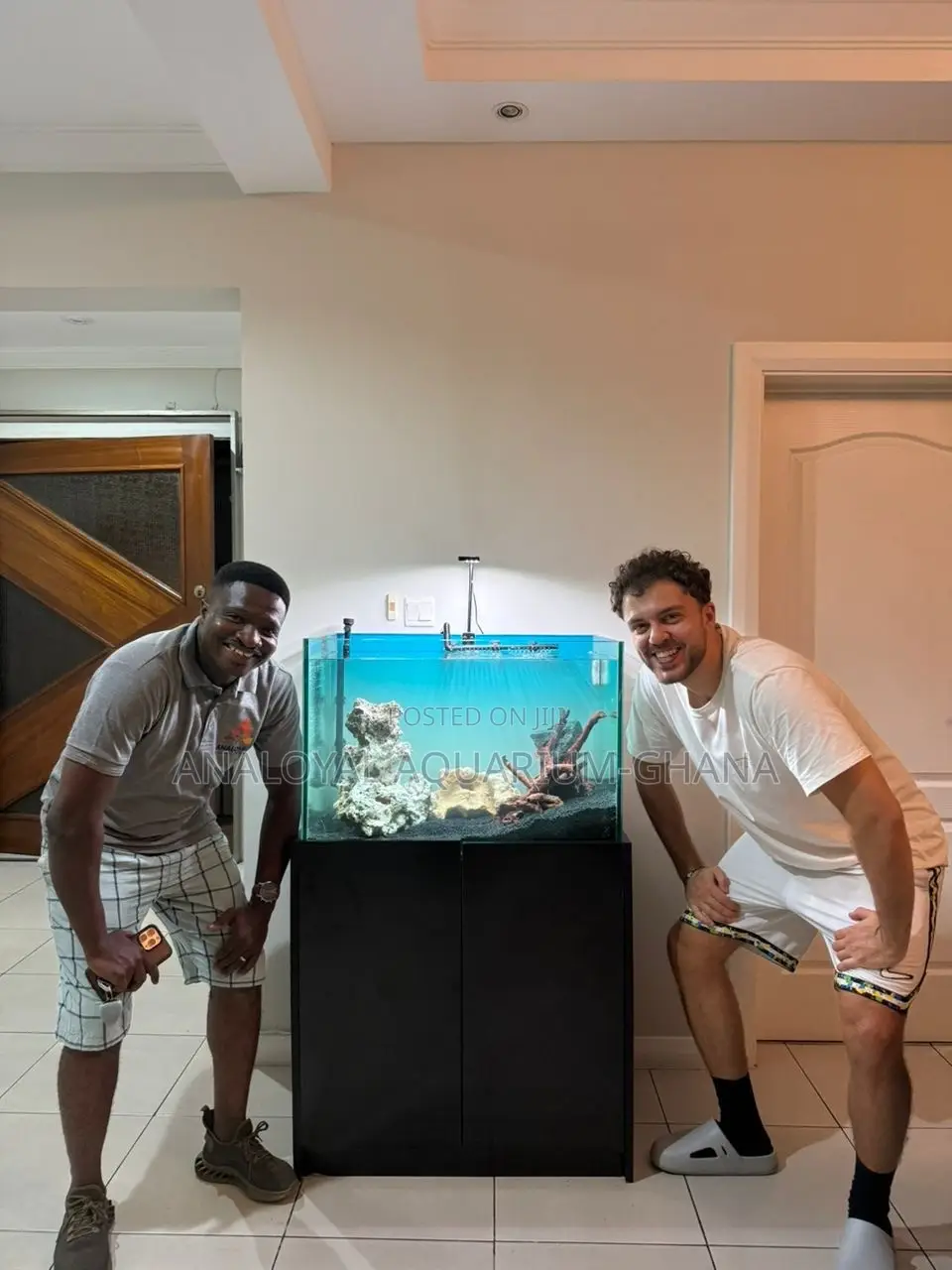Aquarium Blue