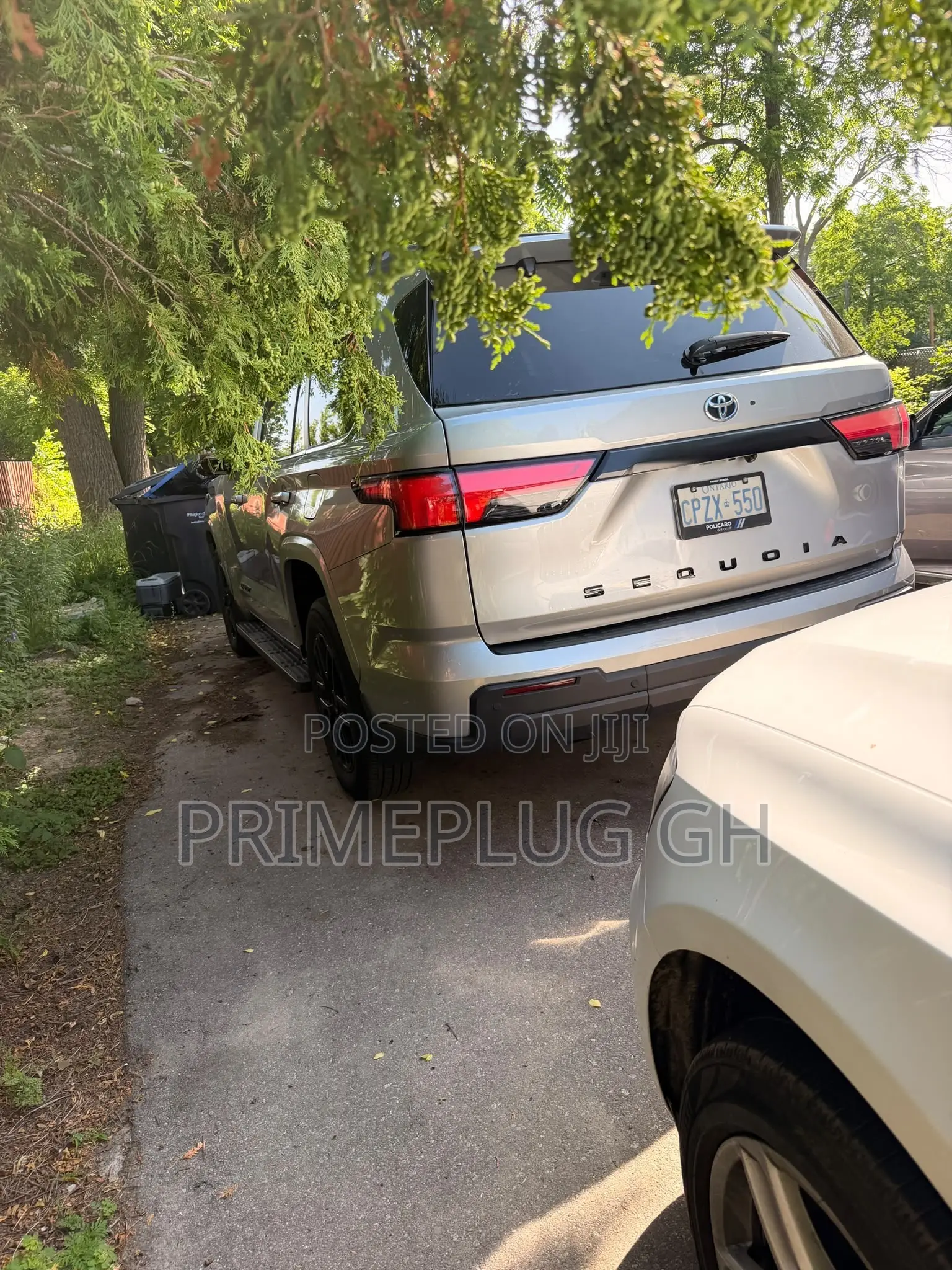 Toyota Sequoia Platinum RWD 2024 Silver
