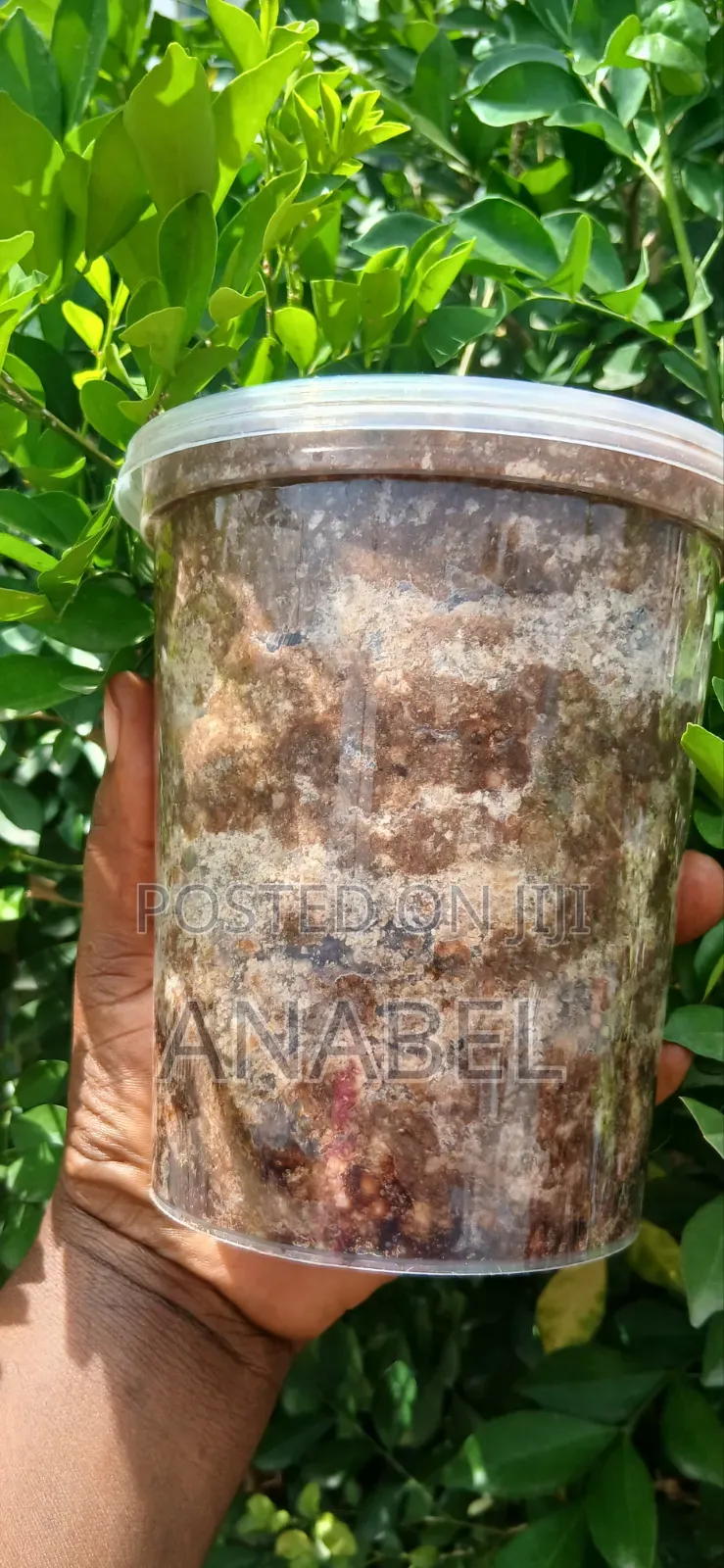 Century Traditional African Black Soap