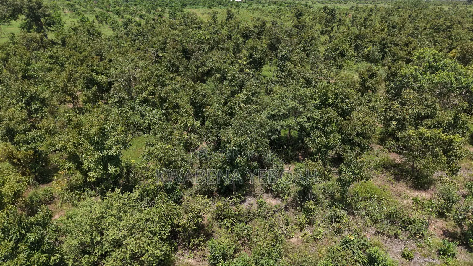 1,000 Acres of Farmland for Sale – Dromankuma, Bono East