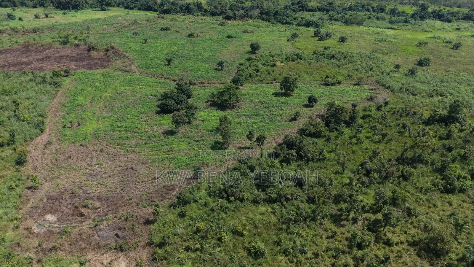 51 Acres of Farmland for Sale – Dromankuma, Bono East