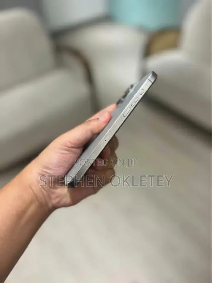 Apple iPhone 15 Pro Max 256 GB Silver