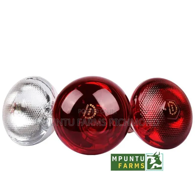 Heat Bulbs(Brooding Lamps)