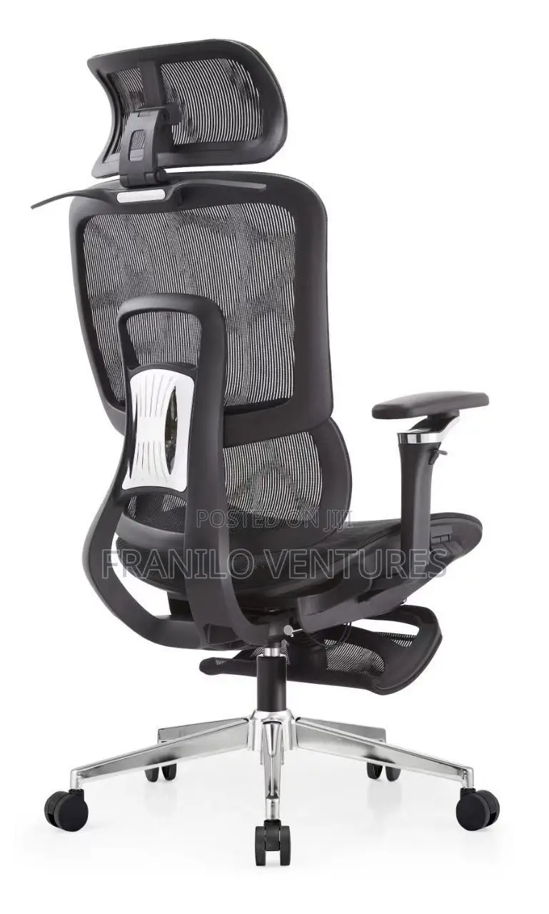 Executive Office Chair