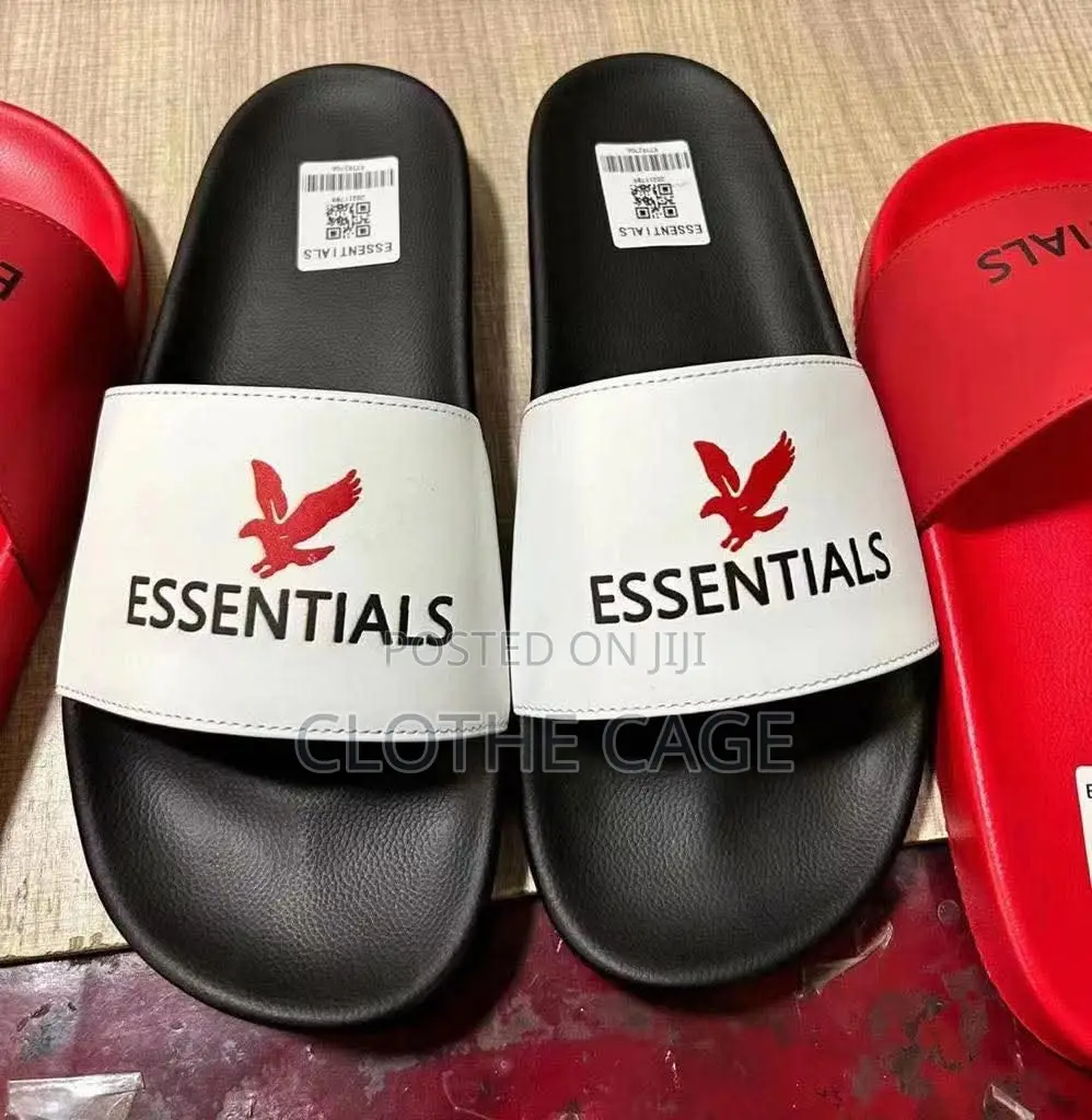 ESSENTIALS Slides