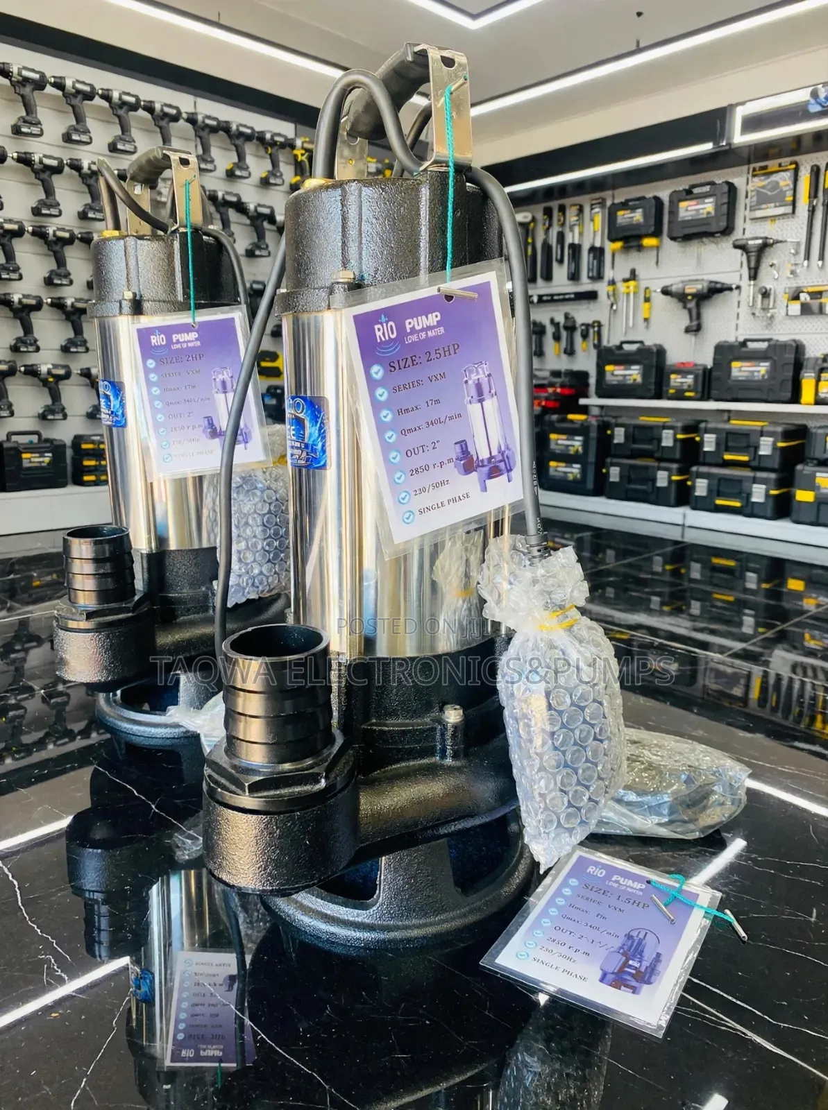 Lasting Rio 1.5hp Stainless Sewage Submersible Pump