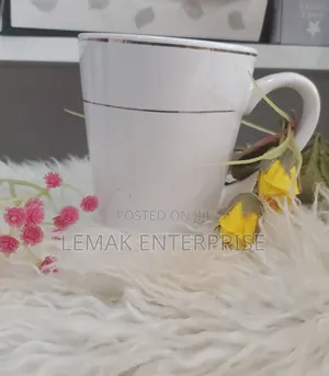 Porcelain Coffee and Tea Cup 360 Ml