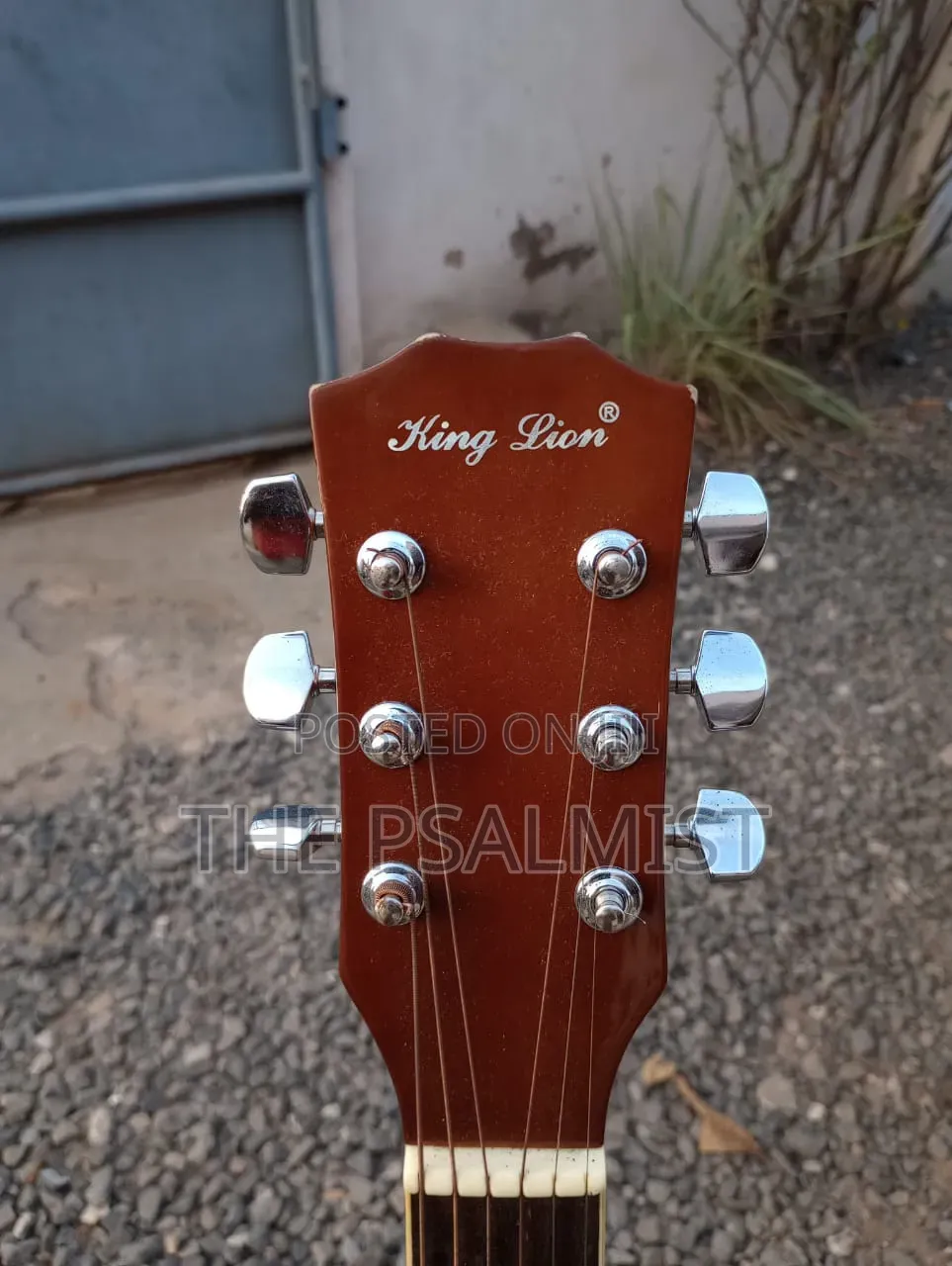 King Lion Kl-Rfy-39c Acoustic Guiar