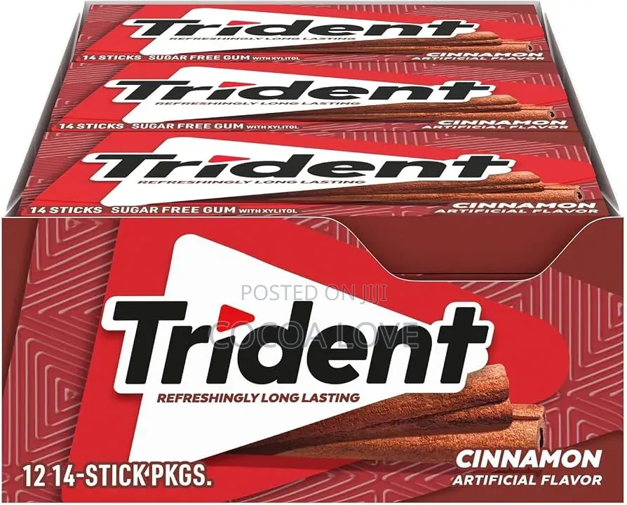 Trident Sugar Free Cinanom Gum
