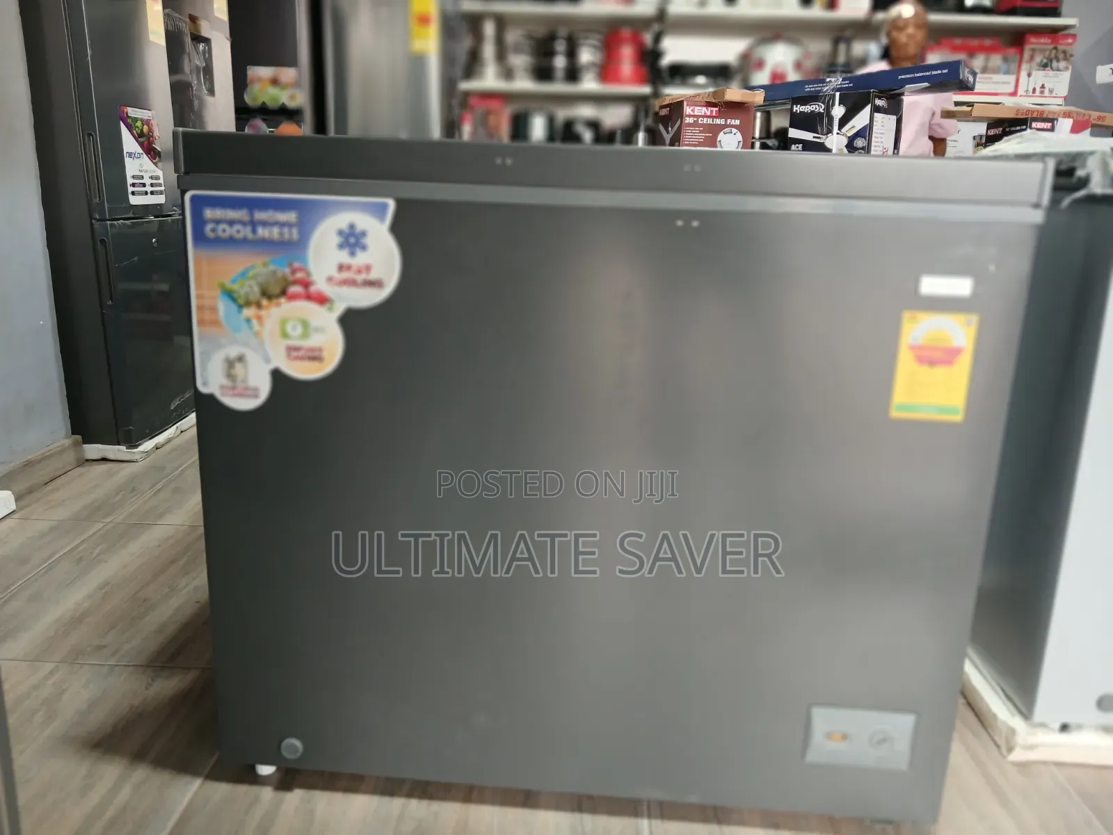 Chest Freezer 251L