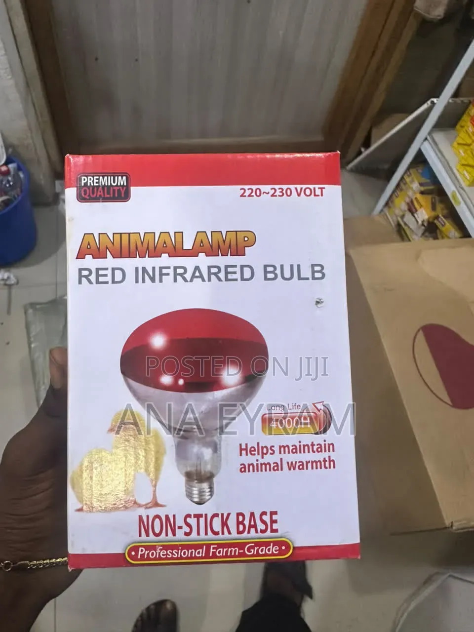 Poultry Lamp