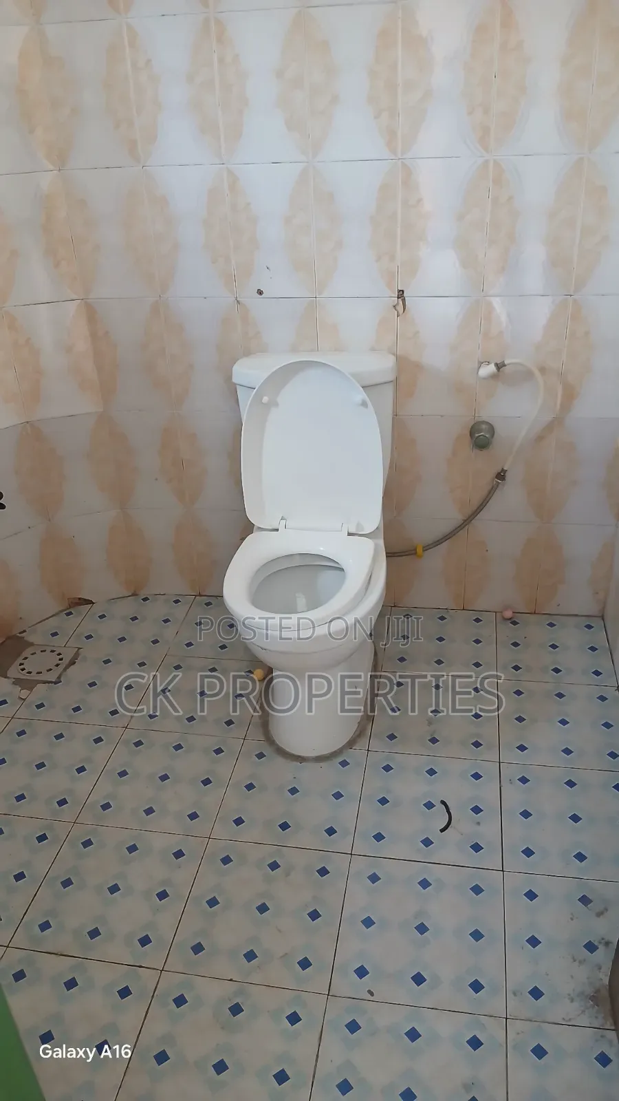 Mini Flat in Parakuo Estate for rent