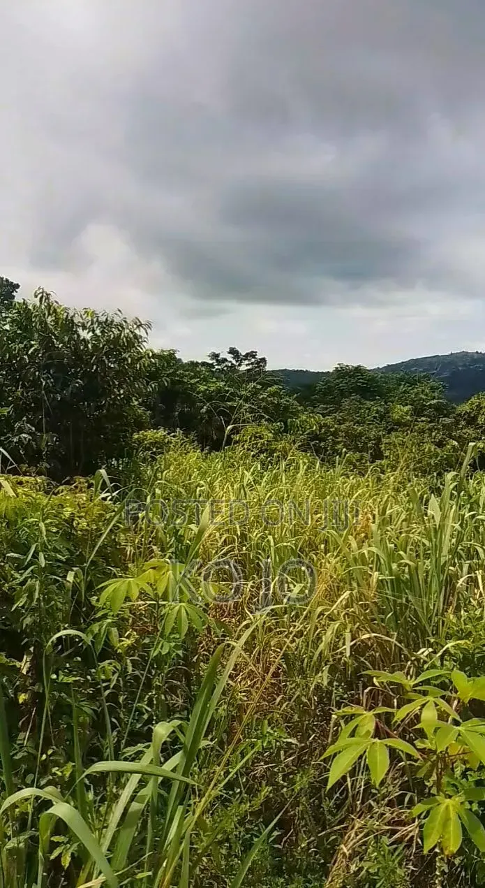 25 Acres of Farmland at Adukrom