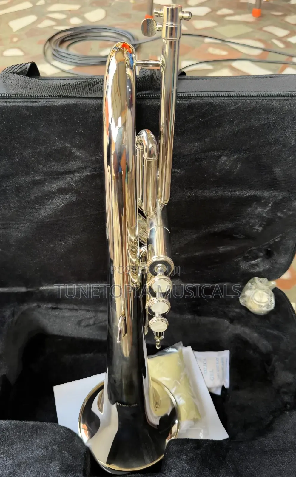 Titanic USA YFH-631GS Bb Flugelhorn Resting Inside a Hard Case