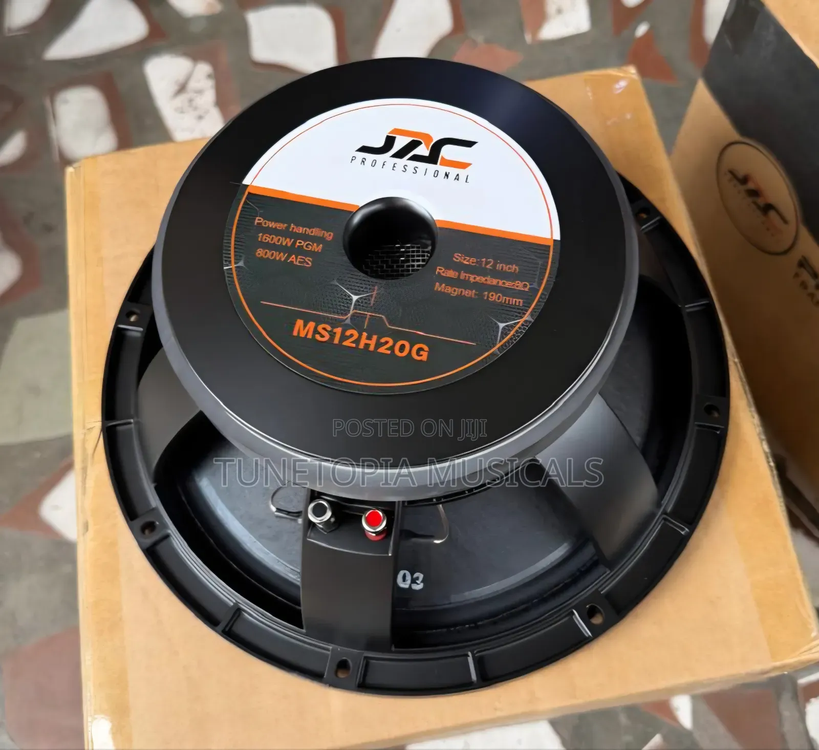 JAC Professional MS12H20G 12-Inch Single-Magnet Naked Raw Speaker
