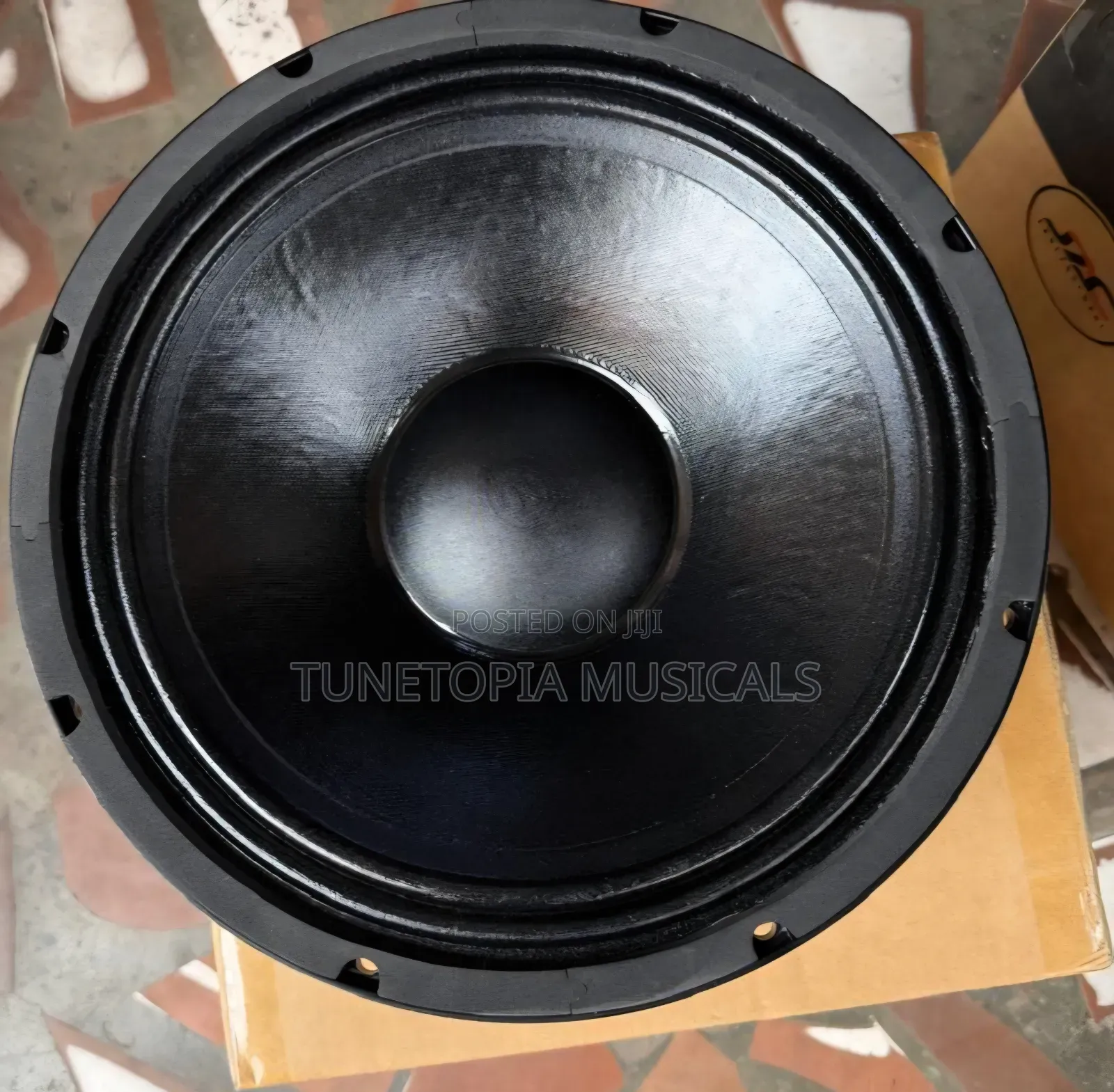 JAC Professional MS12H20G 12-Inch Single-Magnet Naked Raw Speaker