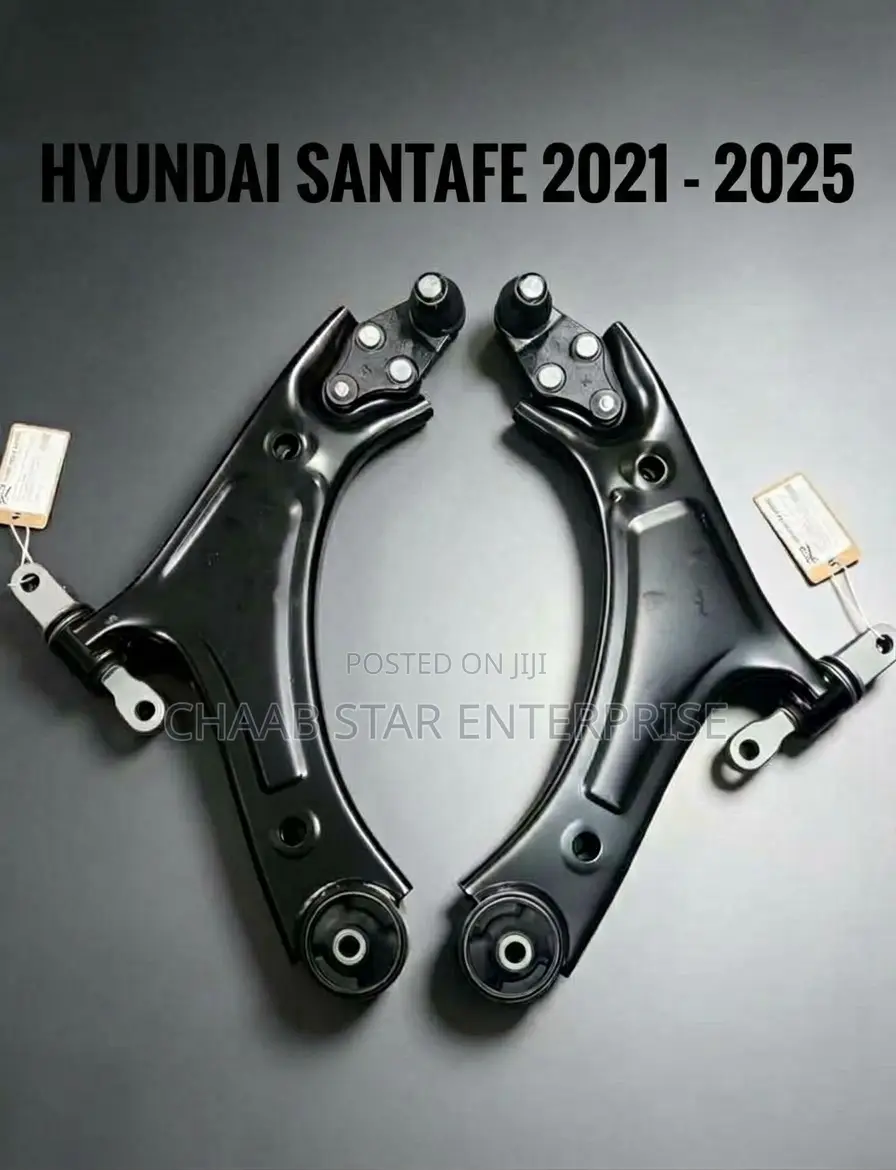 Hyundai Santafe 2021-2025 Lower Arm Pair