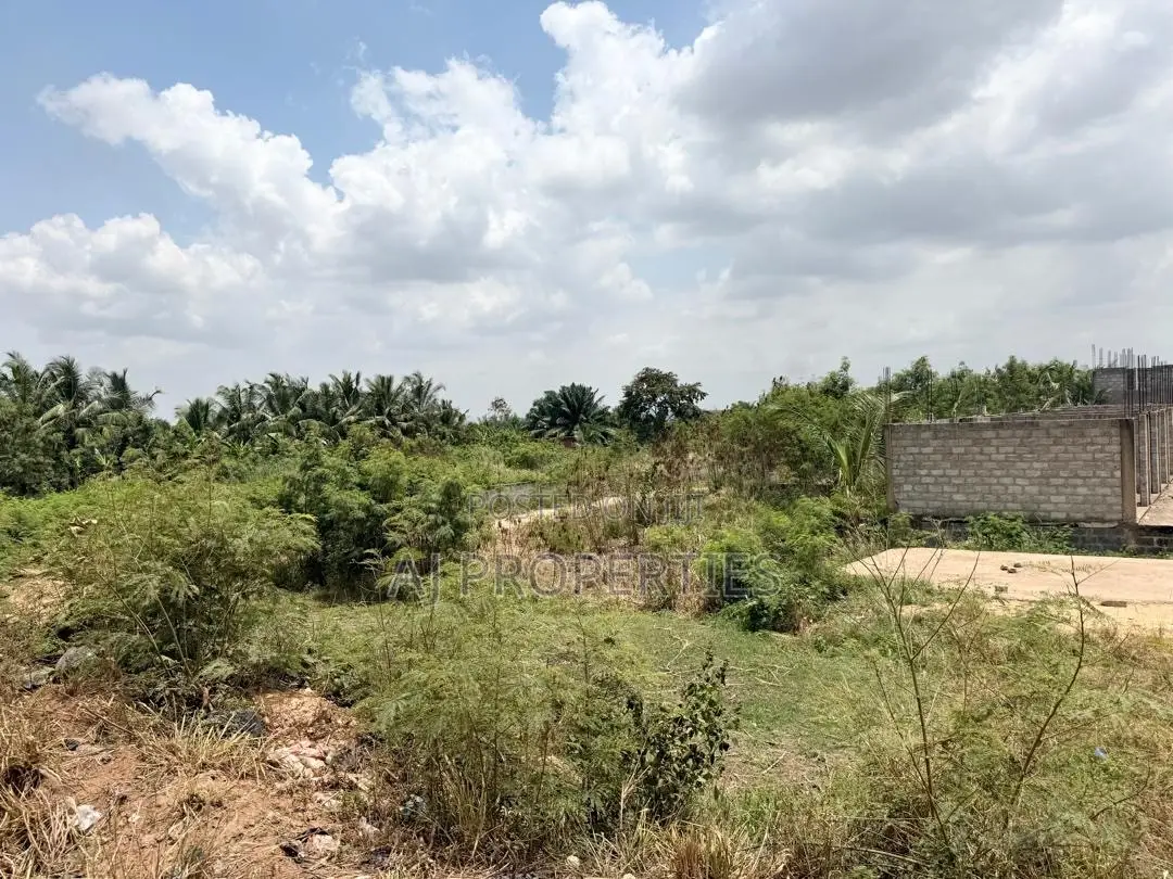 Title Roadside Land for Sale at Dodowa