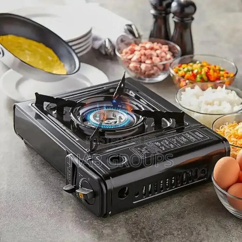 Portable Stove With Carrying Case