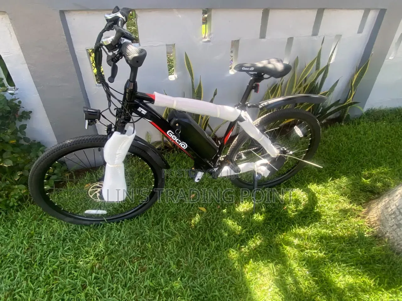 Gocio Adult Mountain E-Bike