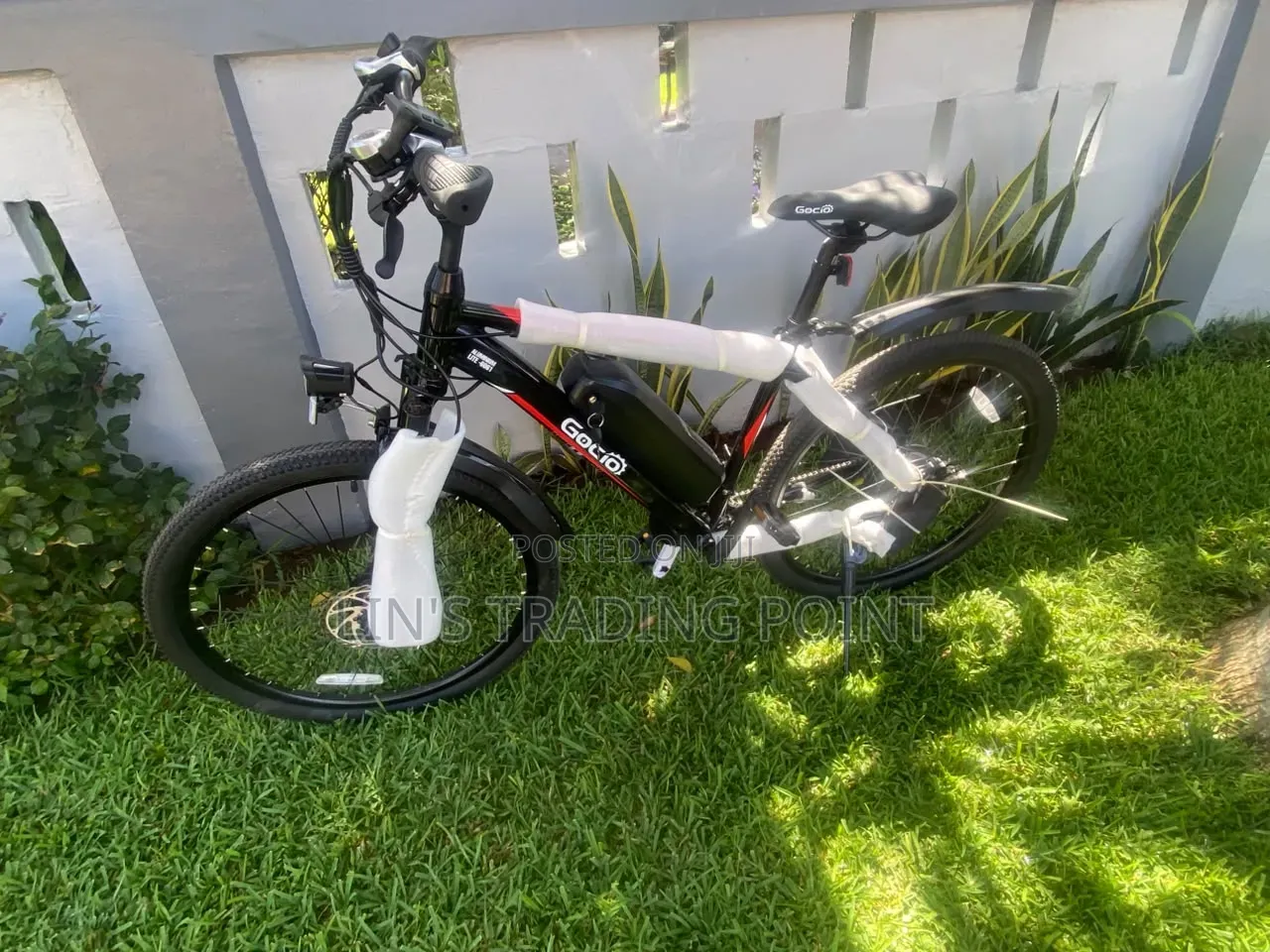 Gocio Adult Mountain E-Bike