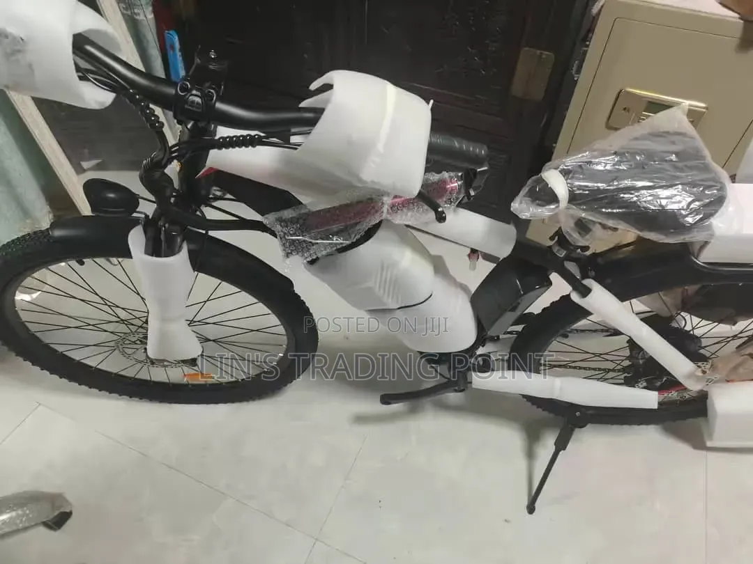 Adult Electric Mountain Bike