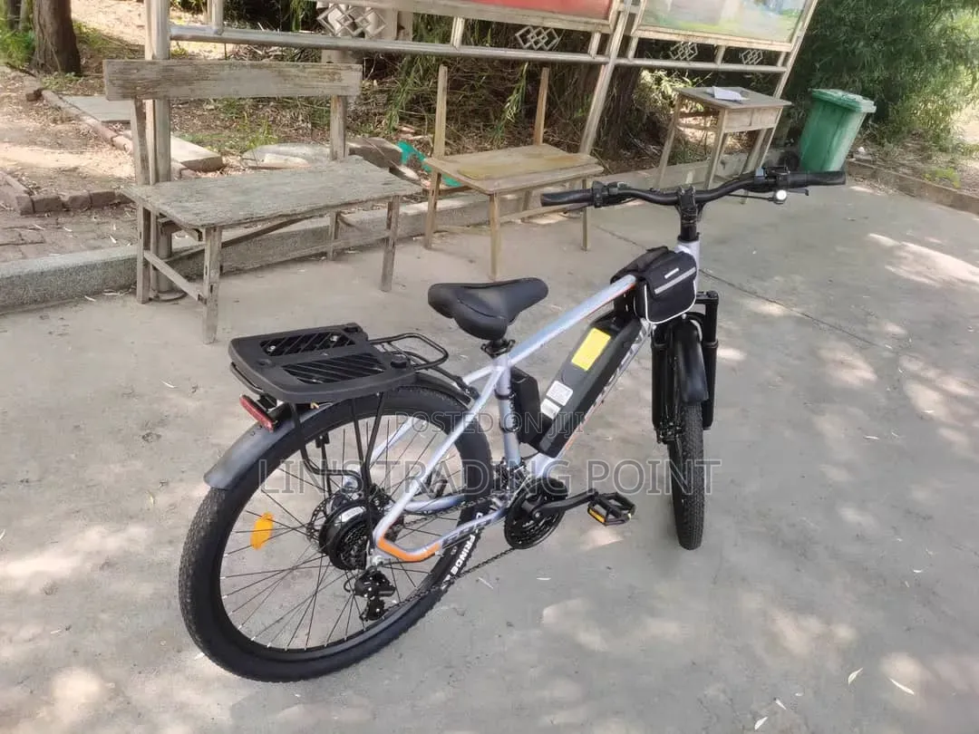 Adult Electric Mountain Bike
