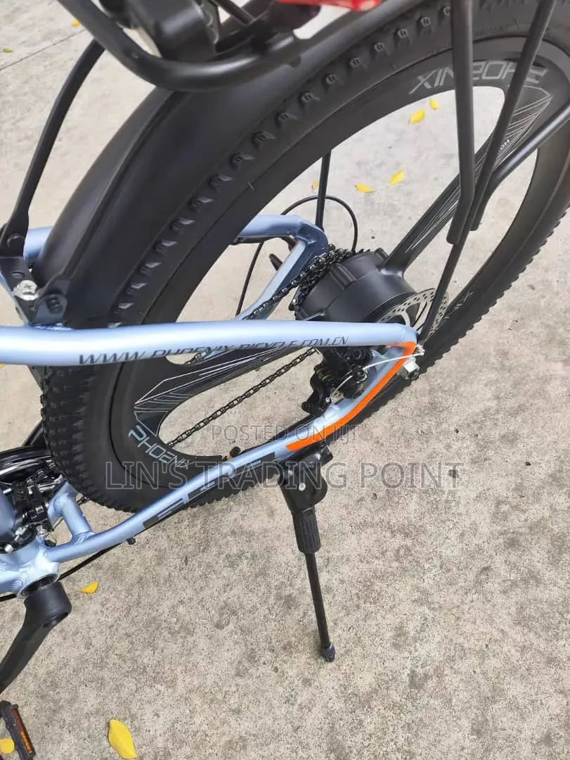 Adult Electric Mountain Bike
