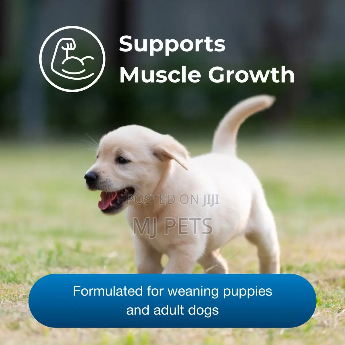Esbilac Healthy Development