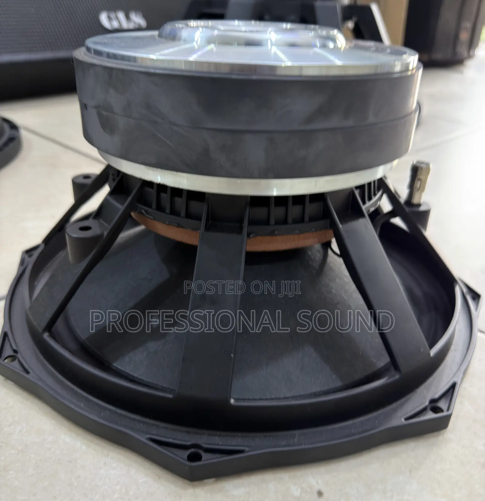 GLS Music G12100 12-Inch Double Magnet Naked Line Array