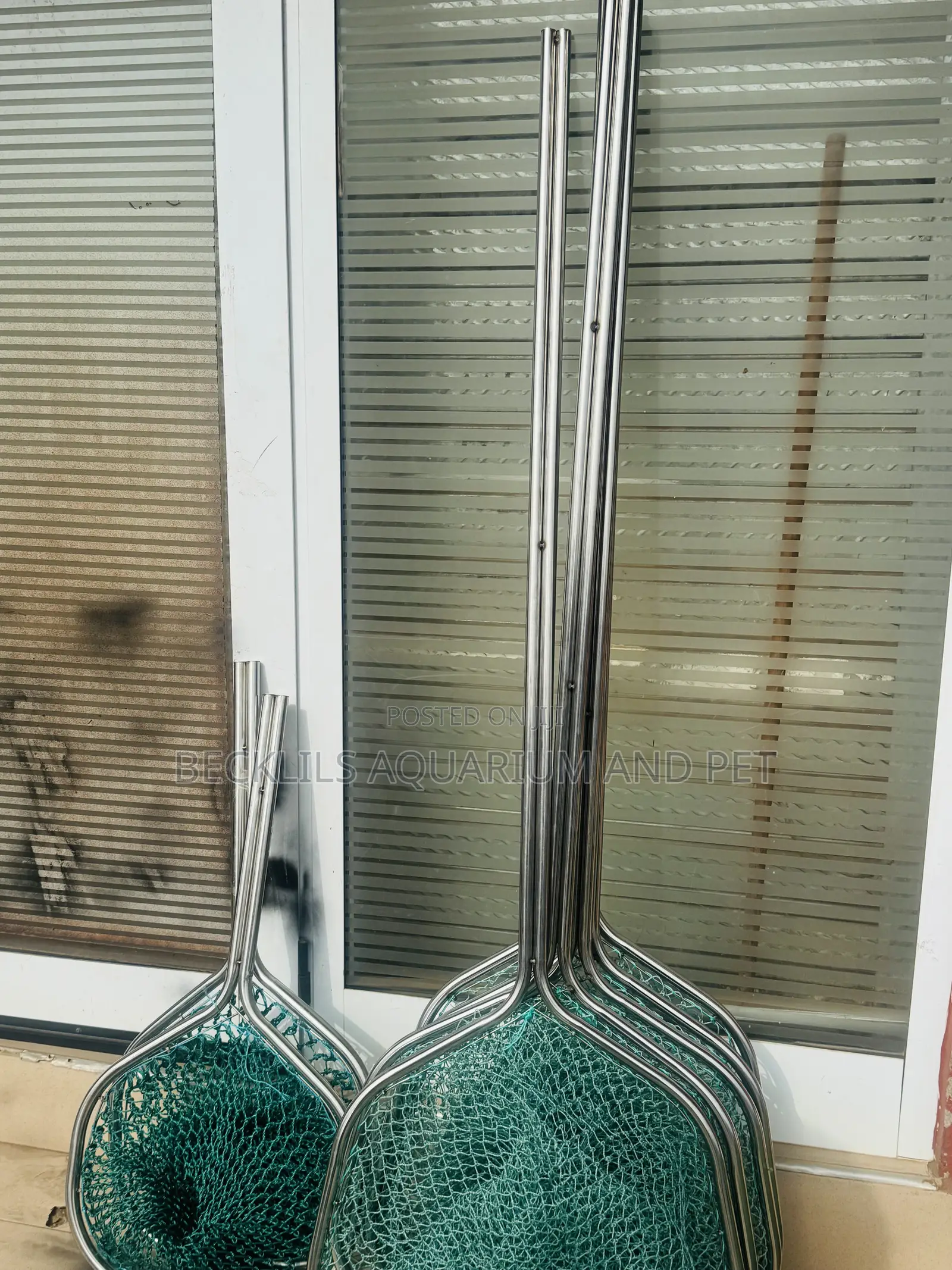 Large Spacious Long Pond Net (1.7 M)