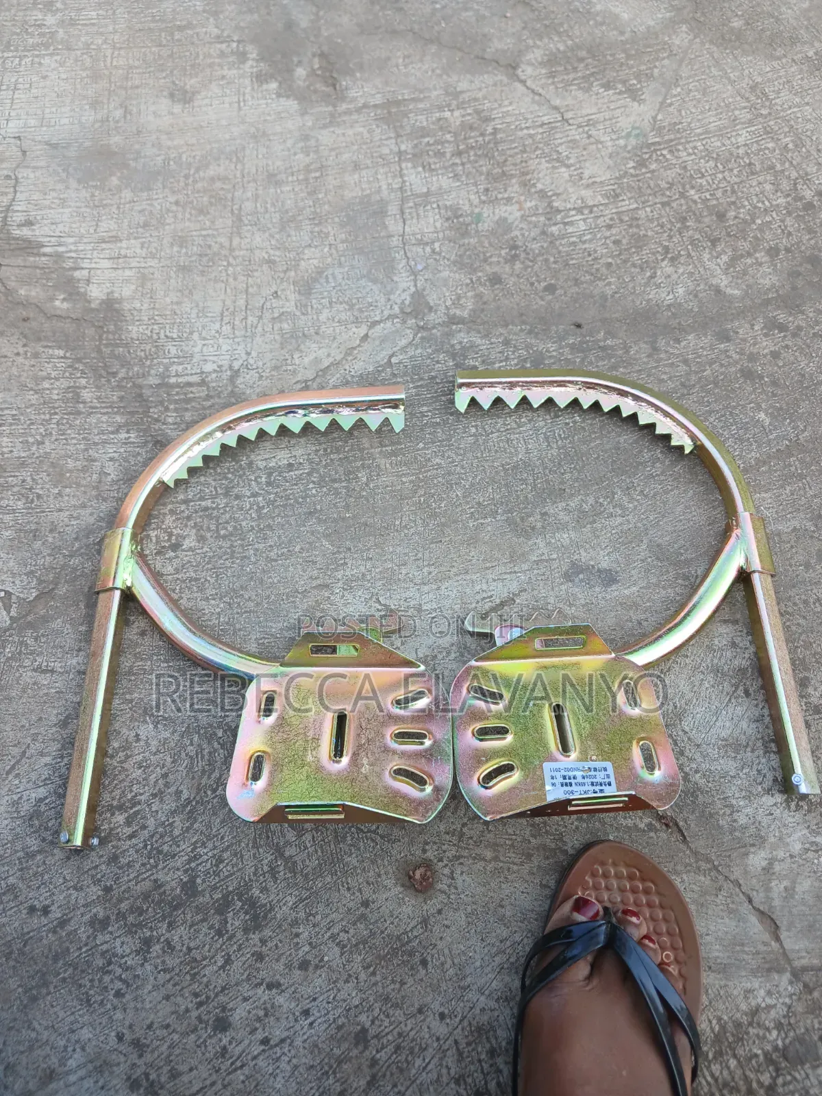 Climbing Shoe