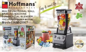 Hoffmans Commercial Blender 820gh