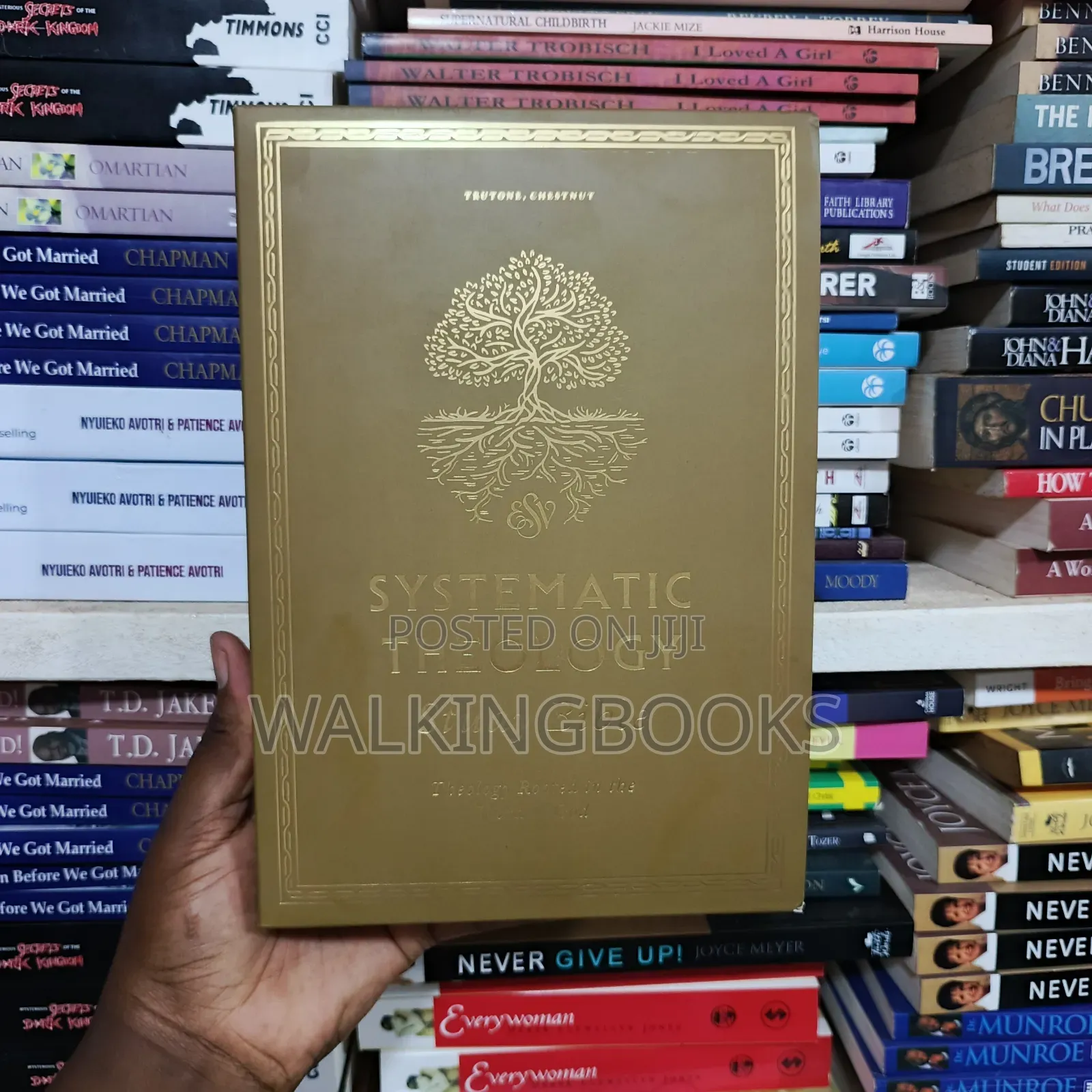 Systemic Theology Study Bible