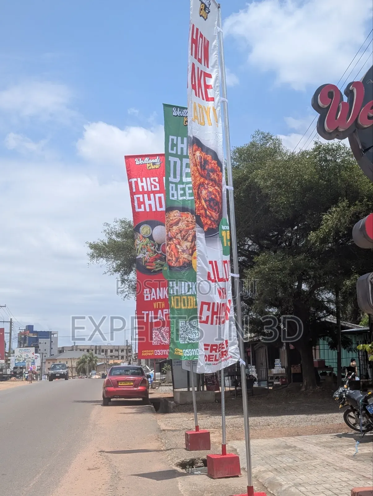 Telescopic Flag Rental / Purchasing