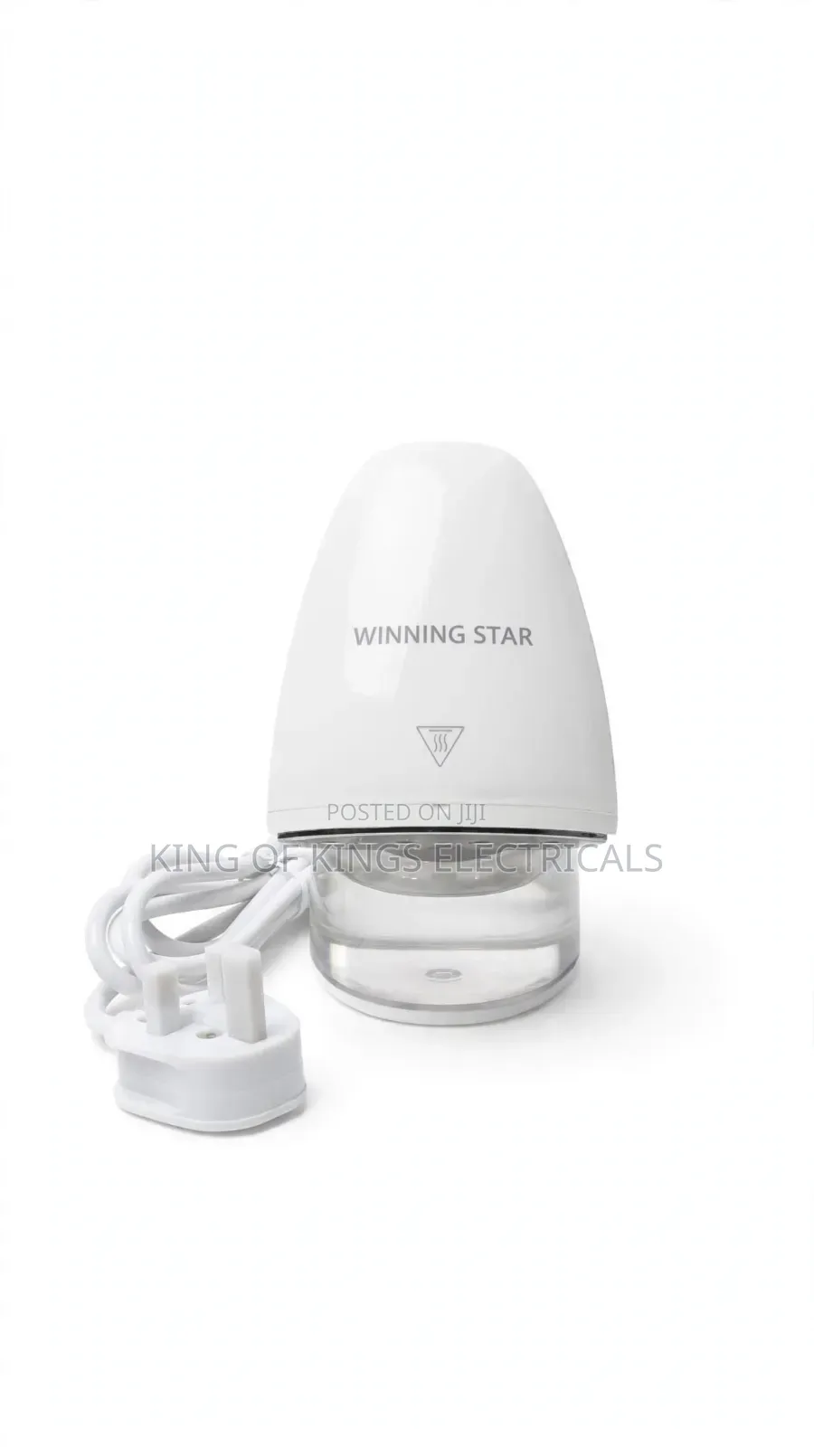 Garment Steamer