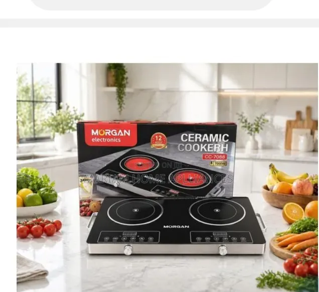 Double Infrared Electric Ceramic Stove